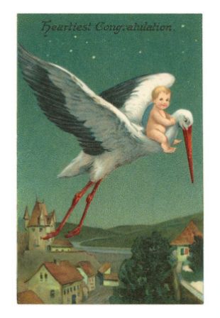 Bebe-sur-une-cigogne-survolant-une-ville-europeenne-.jpg